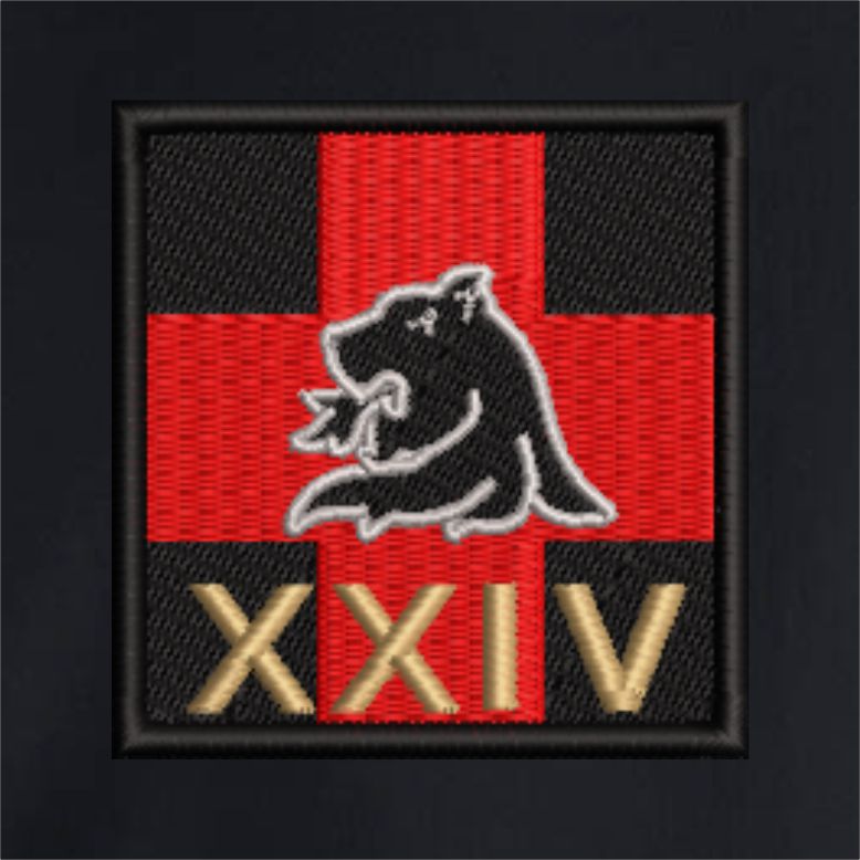 3 Medical Regiment - 24 Squadron