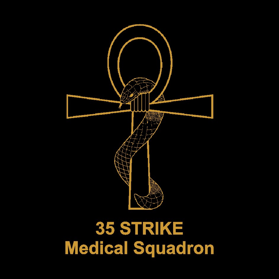 35 Medical Squadron