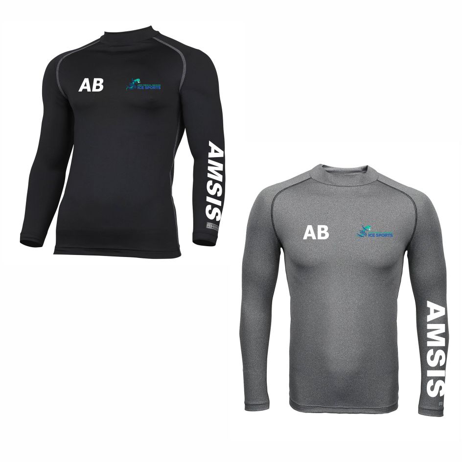 AMSIS  Baselayer