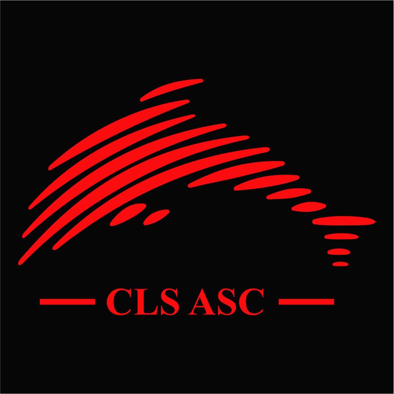 Chester le Street ASC