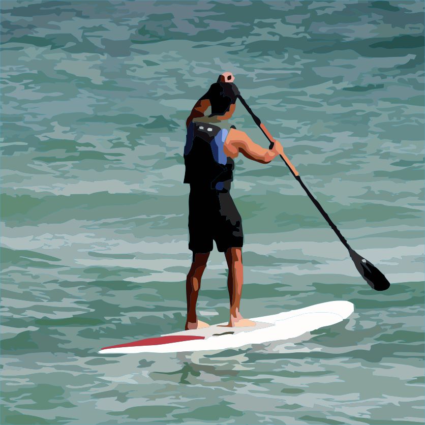 Stand Up Paddle Board