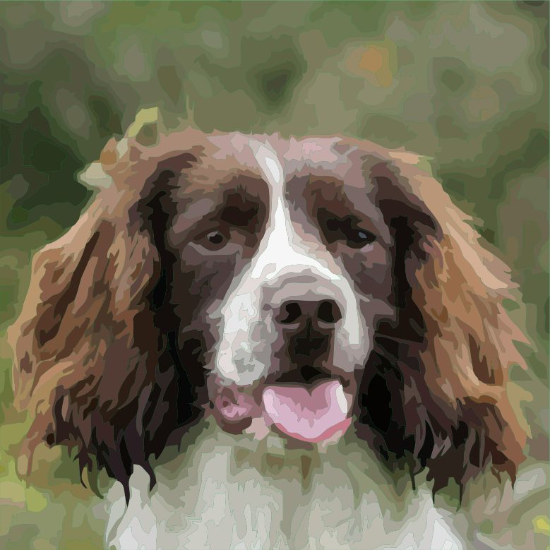 Animal Organisations