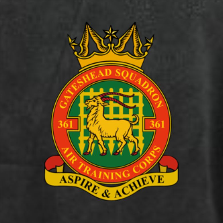 361 (Gateshead) Squadron RAFAC