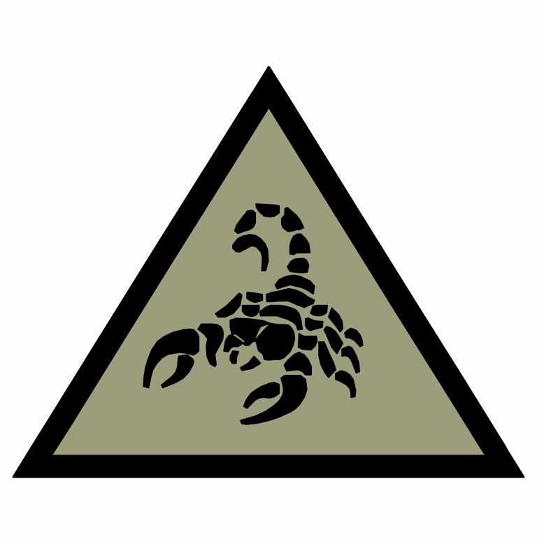 HQ 3 Deep Recce Strike Brigade