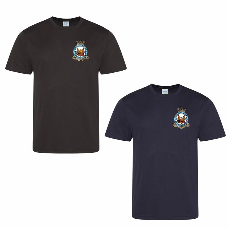 733 (Newcastle Airport) Squadron RAFAC Performance Teeshirt