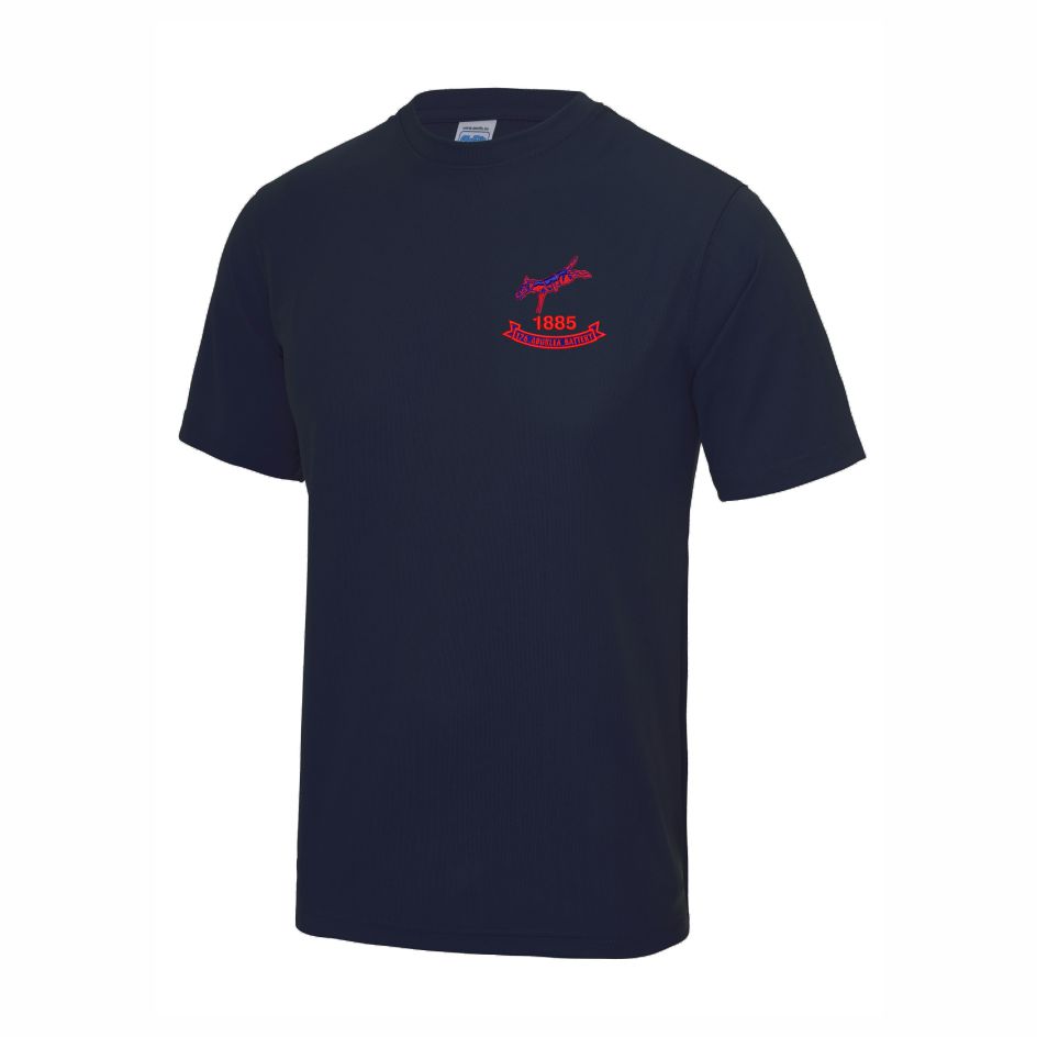 26 Regiment 176 Battery Performance Teeshirt