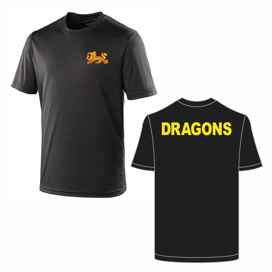 5 Regiment RA P Bty Performance Teeshirt