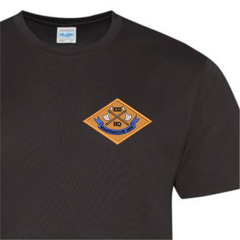 19 Regiment Royal Artillery 13 Battery
