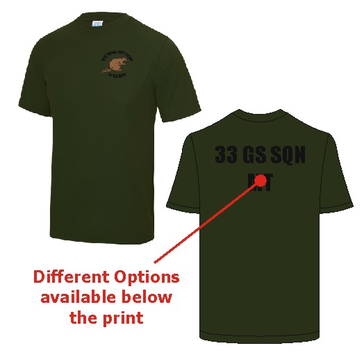 4 Regiment RLC - 33 Squadron Performance Teeshirt