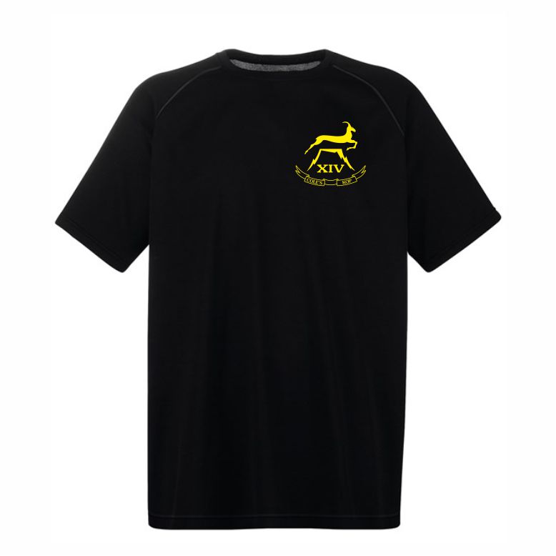 16 Regiment RA - 14 (Cole's Kop) Battery Performance Teeshirt