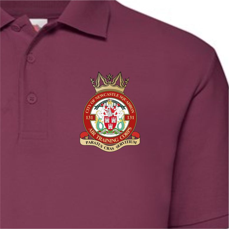 131 (City of Newcastle) Sqn- RAFAC