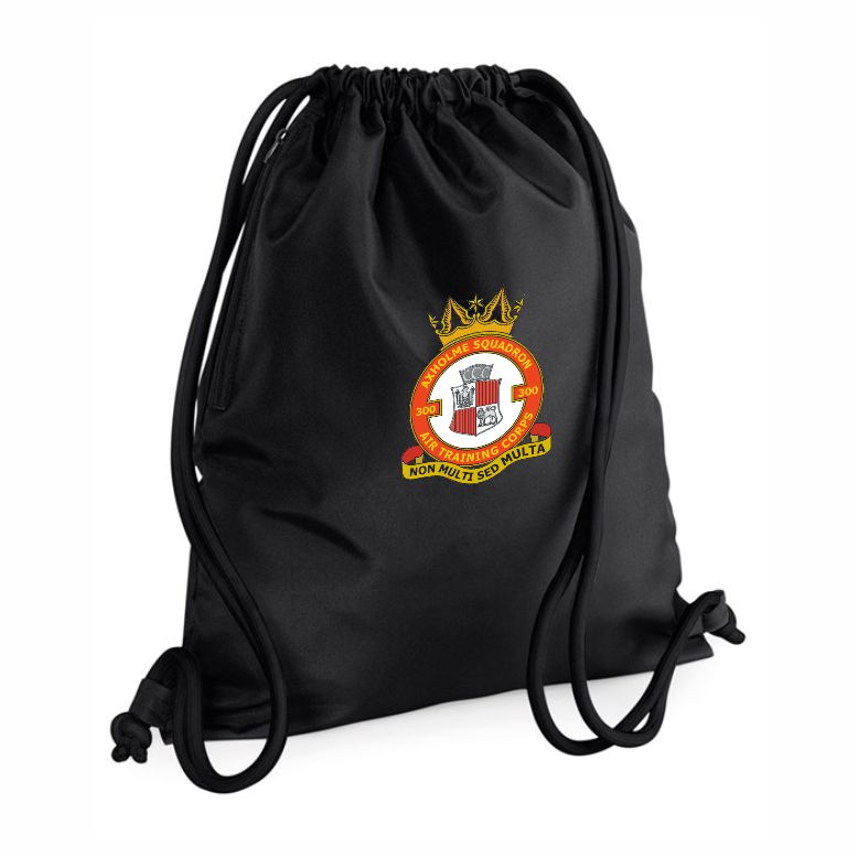 300 (Isle of Axholme) Squadron RAFAC Gymsac