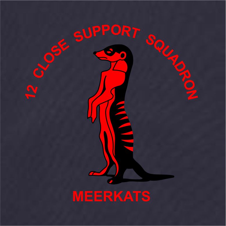 1 Regiment RLC - 12 Squadron 