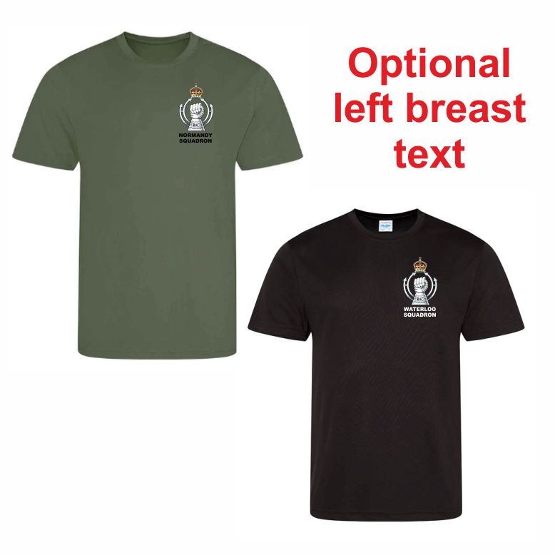 Royal Armoured Corp Training Regiment Performance Teeshirt