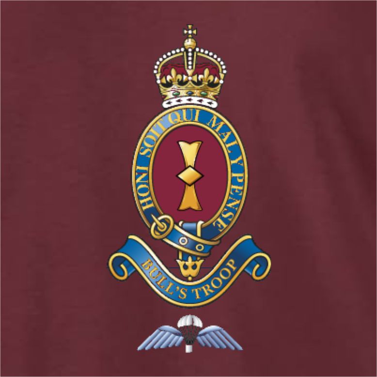 7 PARA RHA - I Bty (Bulls Troop)