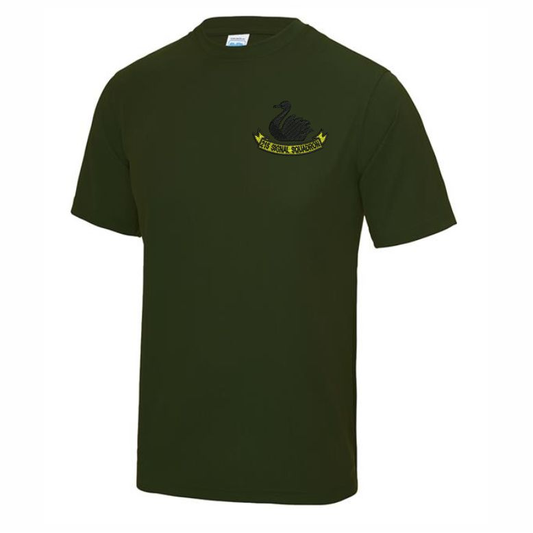 2 Signal Regiment Performance Teeshirt - 215 Squadron