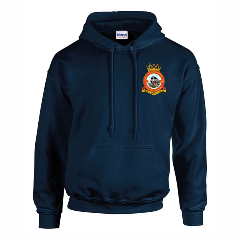 339 (South Dartmoor) Squadron Hood