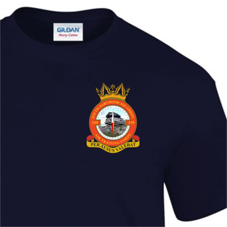339 (South Dartmoor) Squadron 