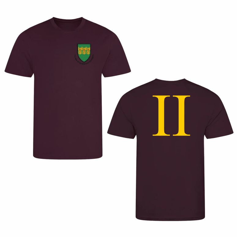 1st Battalion Welsh Guards - No2 Company - Performance T shirt 